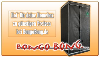 Homebox Growbox Kaufen