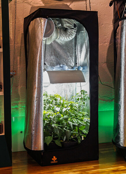 Growbox Komplettsets im Growshop Köln
